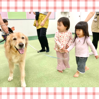 ホールで犬の散歩をする園児