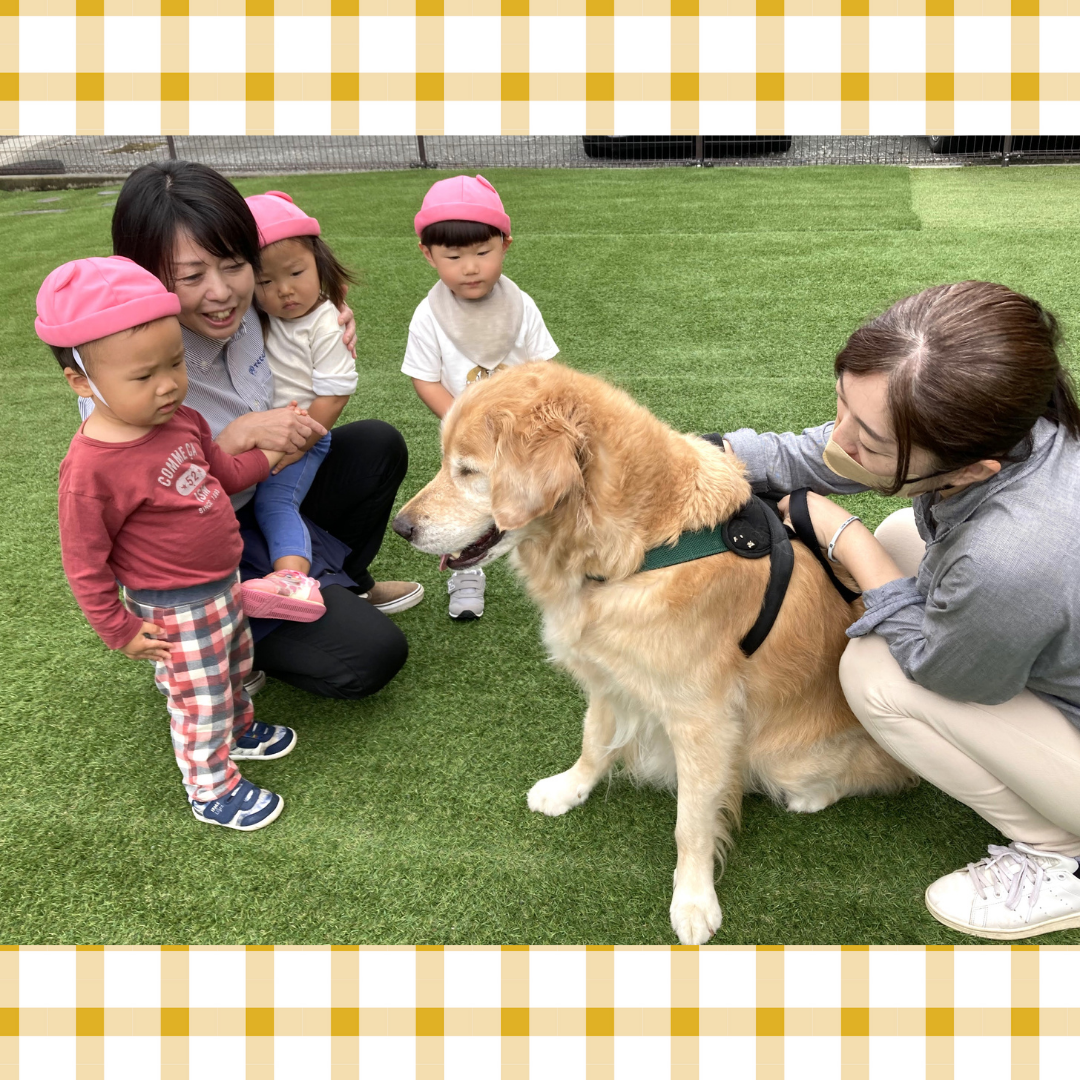 動物介在教育とは？生き物とふれあうメリットやてくてく保育園の実例を紹介