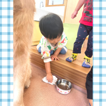 動物介在中、水を拭いてくれる園児